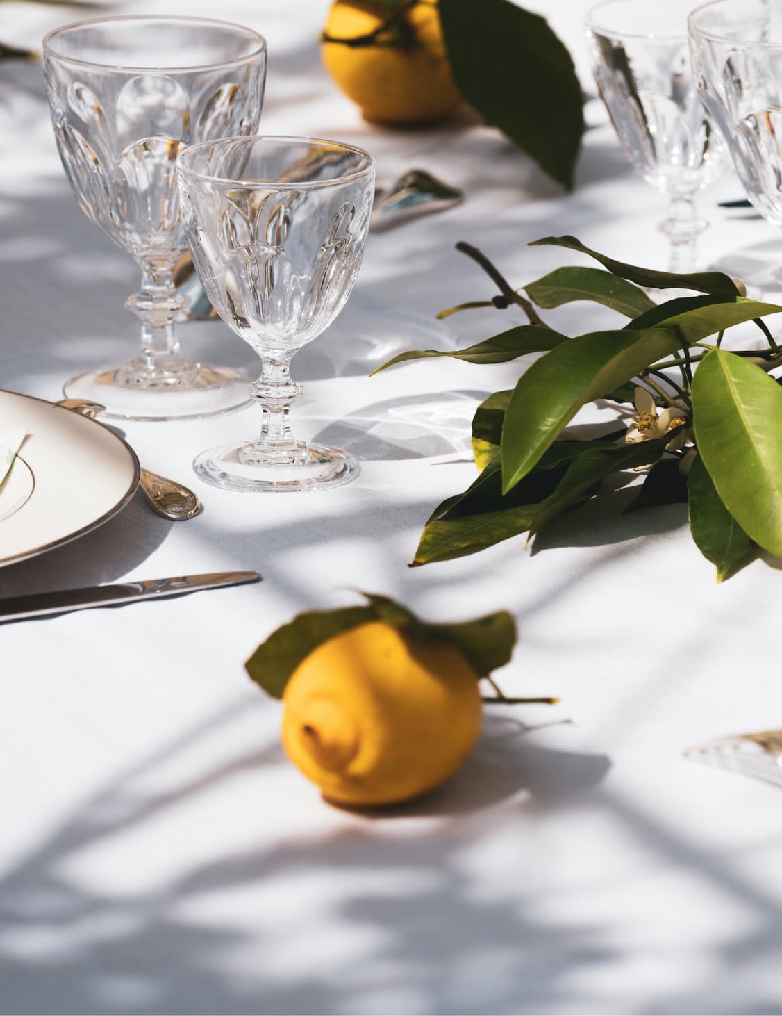 Catering Services for Your Events