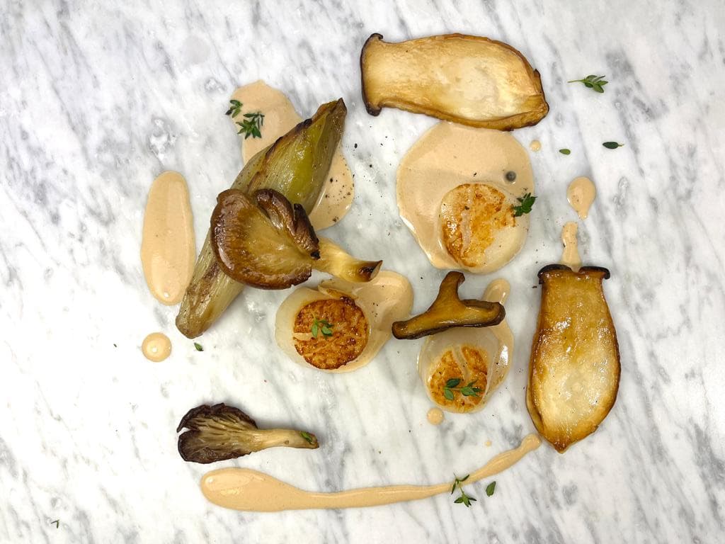 WARME VOORGERECHTEN  1