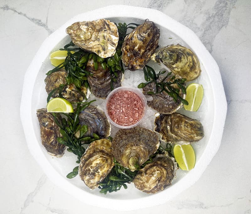 PLATEAU DE 12 HUITRES