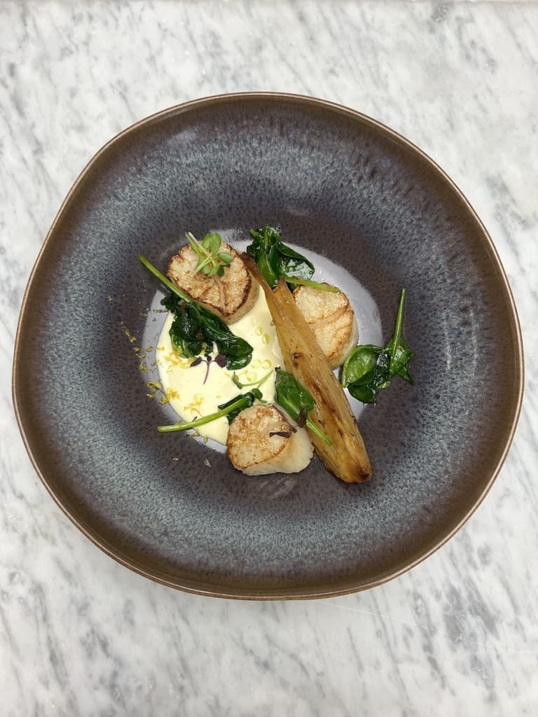 SCALLOPS / WHITE WINE AND CHIVE SAUCE / YOUNG SPINACH SHOOTS AND CAULIFLOWER