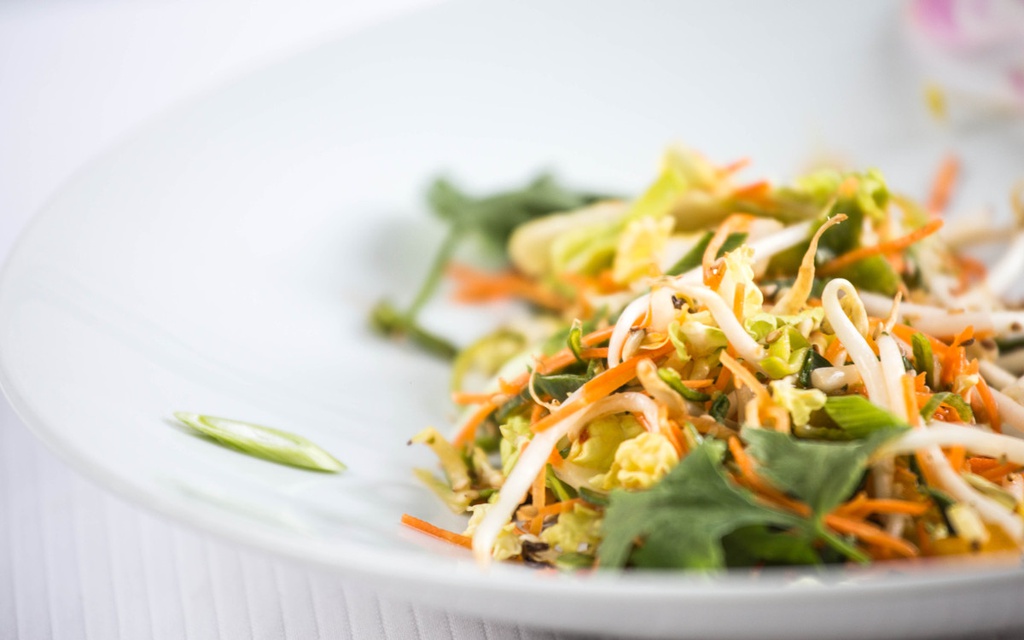 NATURAL THAI SALAD : CARROTS / SOY / PEPPERS / CHINESE CABBAGE / DRESSING