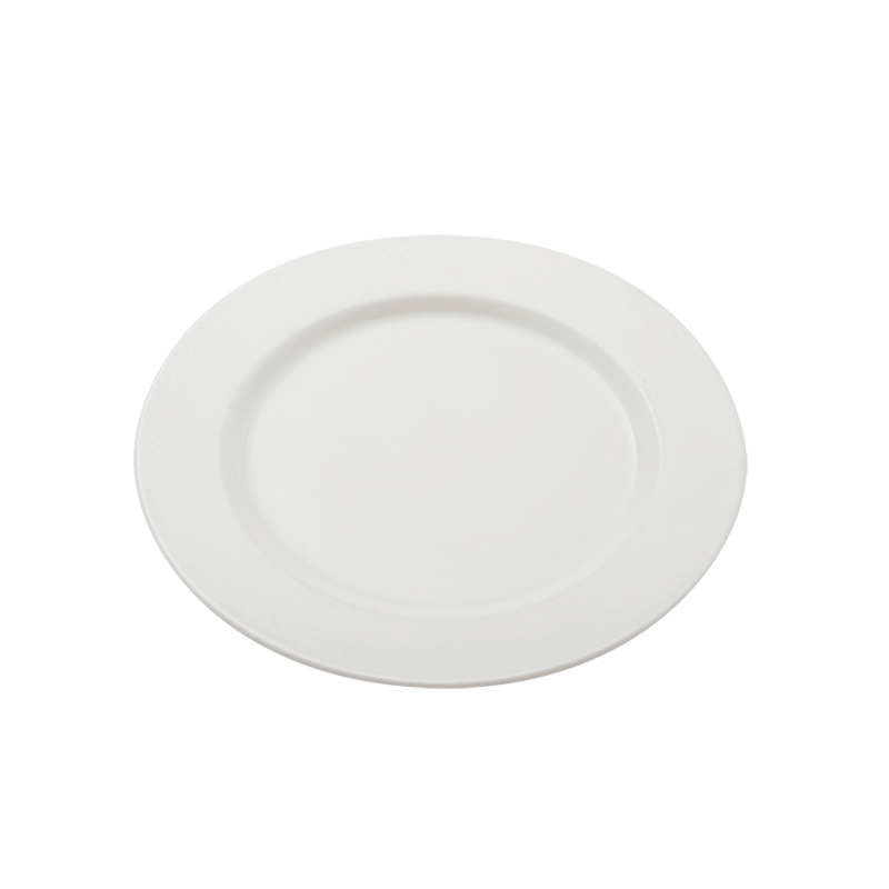 ASSIETTES EASY 24 CM